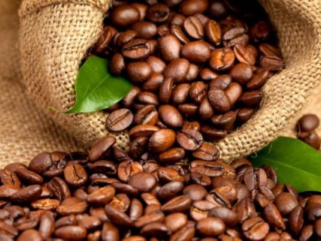 café Robusta 
