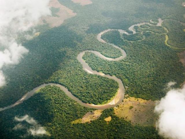 foret du Congo