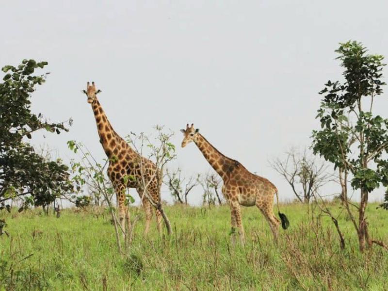 site touristique RDC