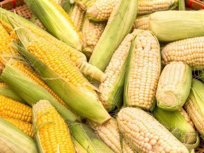 produits agricoles