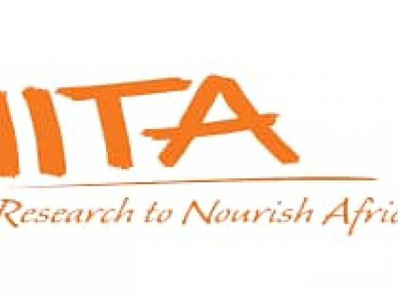 Logo IITA