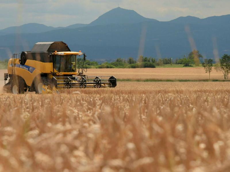 coopérative agricole