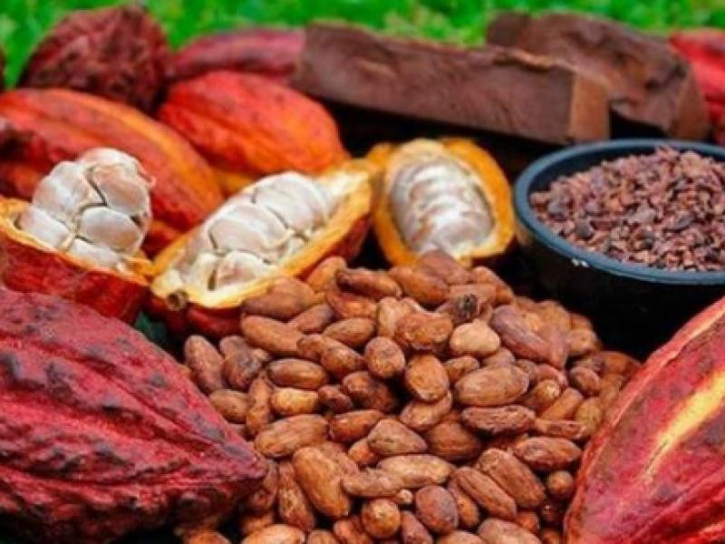 café & cacao