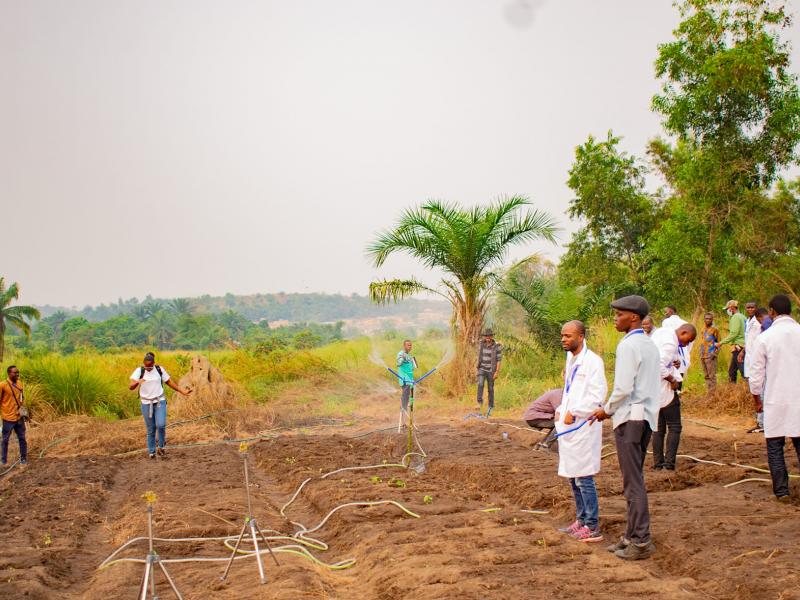 agriculture 