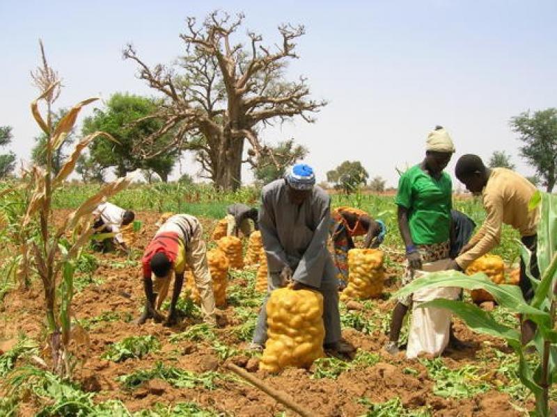produits agricoles