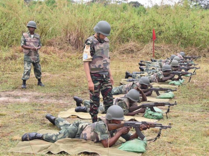 Réserve armée de la défense