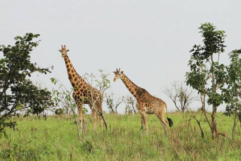 site touristique RDC