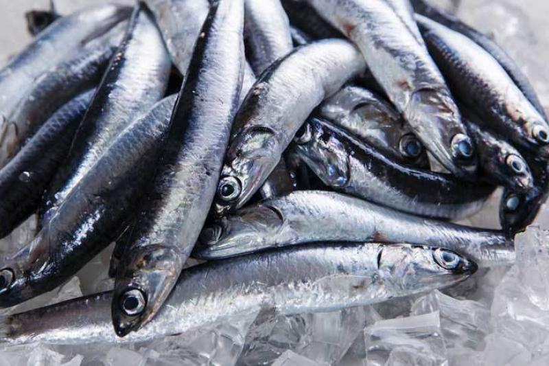 Poisson