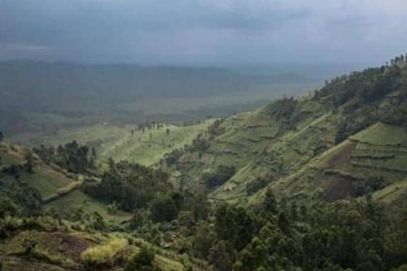 Parc Virunga