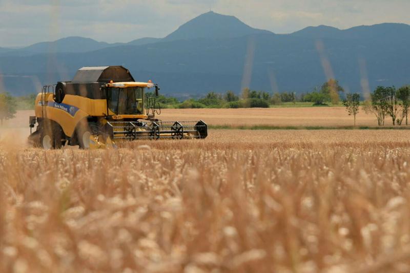 coopérative agricole