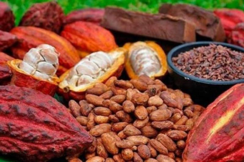 café & cacao