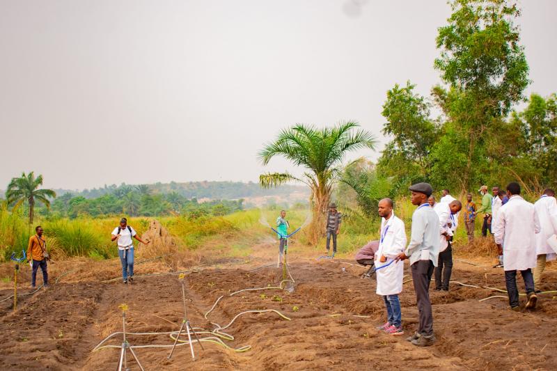 agriculture 
