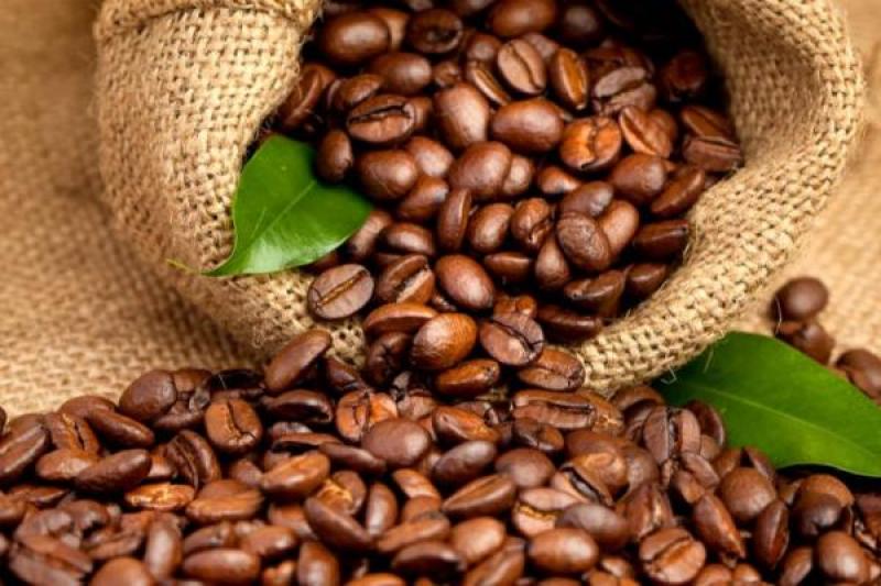 café Robusta 