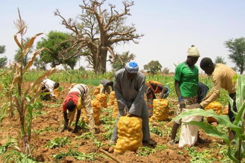 produits agricoles