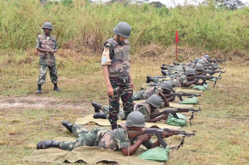 Réserve armée de la défense