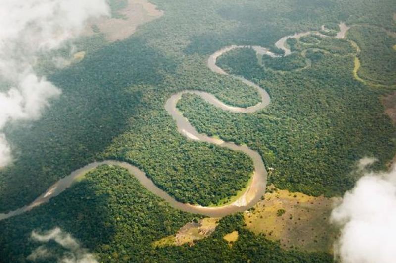 foret du Congo